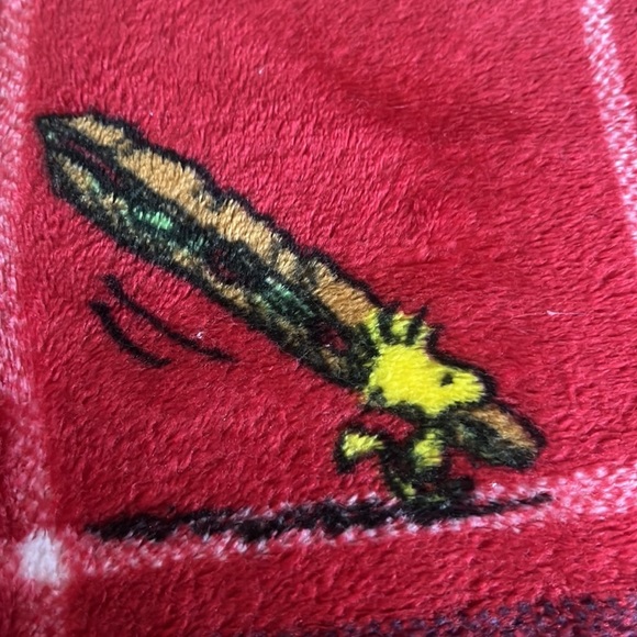 Berkshire Blanket Peanuts® VelvetLoft® Cute Character Snoopy Plush Throw Blanket - Picture 5 of 7